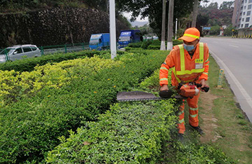 深圳市寶安區(qū)洲石公路（航城段）及鶴州立交周邊道路清掃保潔和綠化管養(yǎng)綜合服務項目